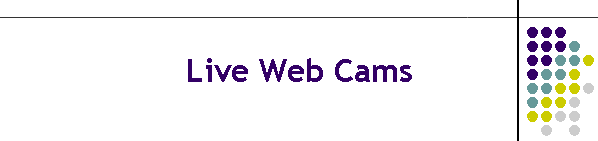 Live Web Cams