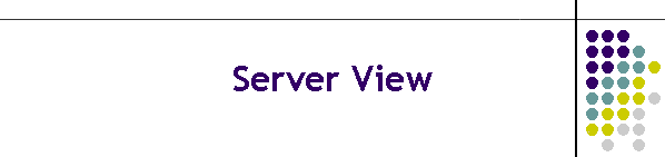 Server View