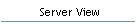 Server View