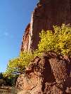 Colorado Springs (Garden of the Gods)